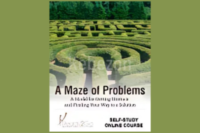 A-Maze-of-Problems-self-Study-Online-Course-by-Ready2Go-Marketing-Solutions-free-download