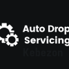 Auto-Drop-Servicing-By-Ricky-Mataka-free-download