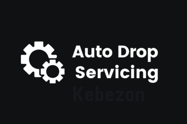 Auto-Drop-Servicing-By-Ricky-Mataka-free-download
