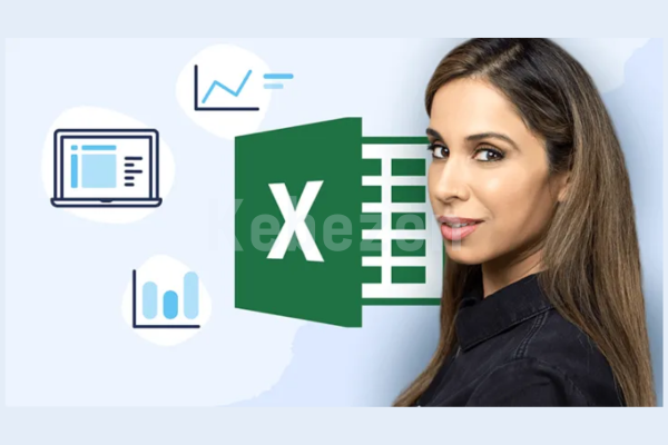 Visually-Effective-Excel-Dashboards-By-Leila-Gharani-free-download